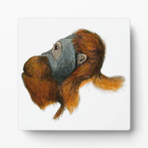 Orangutan Tabletop Plaque med Easel