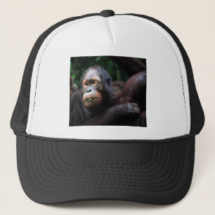 Orangutan Truckerkeps