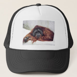 Orangutan Truckerkeps