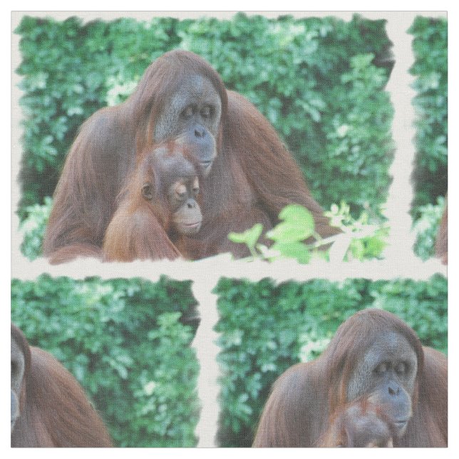 Orangutan Tyg (Närbild)