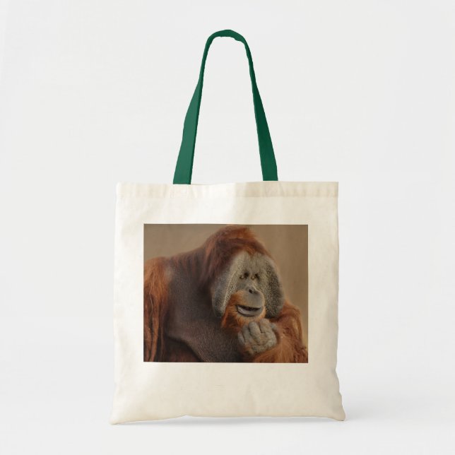 Orangutan Tygkasse (Framsidan)