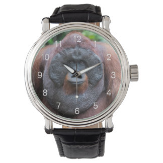 Orangutan watch armbandsur