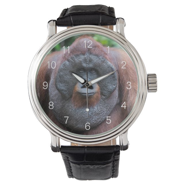 Orangutan watch armbandsur (Framsida)