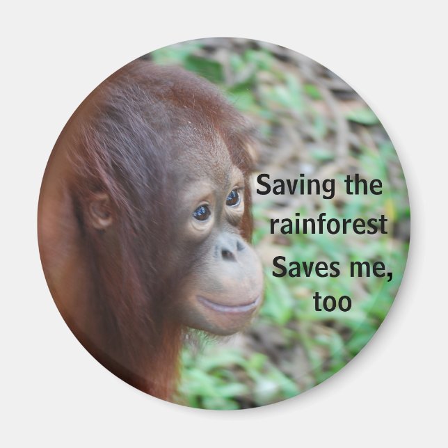Orangutan Wildlife Charity Magnet (Framsidan)