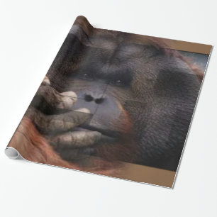 Orangutan Wrapping Papprare Presentpapper
