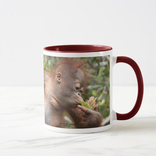 Orangutanbaby i Borneo Mugg (Höger)