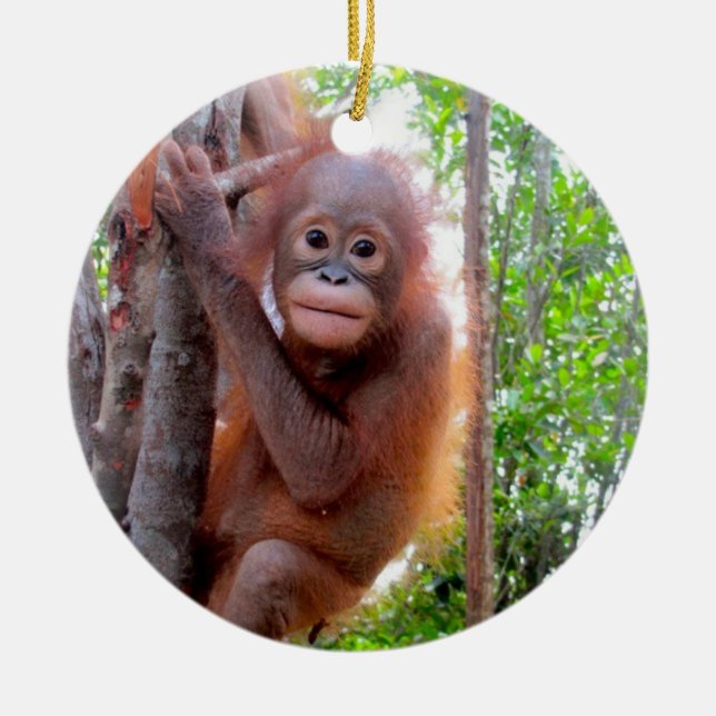 Orangutanbaby Uttuh Julgransprydnad Keramik (Framsidan)