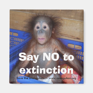 Orangutanbeskydd Magnet