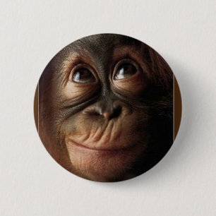 ORANGUTANEN KNÄPPAS KLÄMMER FAST KNAPP