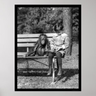 Orangutanen och pojken parkerar in 1920 poster