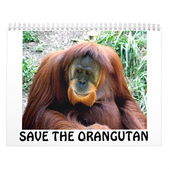 orangutanen SPARAR ORANGUTANEN Kalender (Omslag)