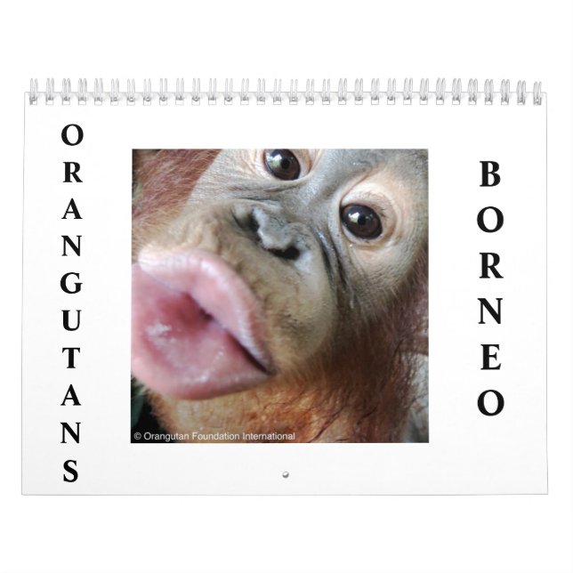 Orangutaner Kalender (Omslag)