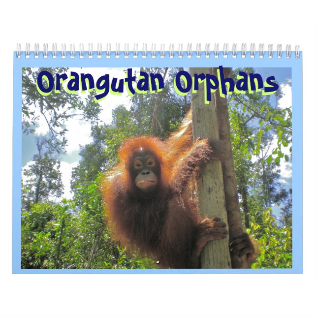 Orangutanföräldralösar Kalender (Omslag)