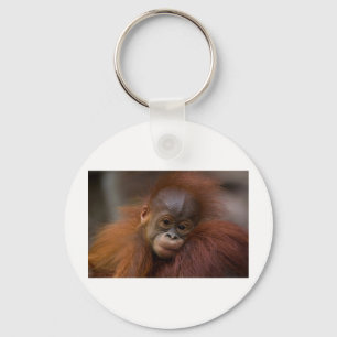 Orangutang bebis nyckelring