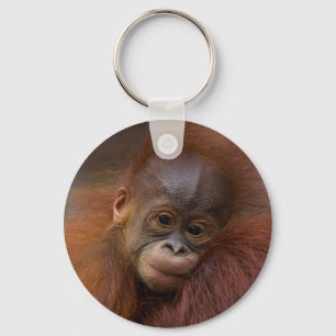 Orangutang bebis nyckelring