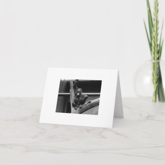 orangutang kort (Framsida)