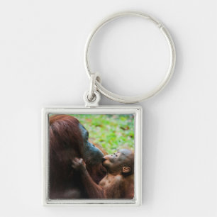 Orangutang mamma och unge fyrkantig silverfärgad nyckelring