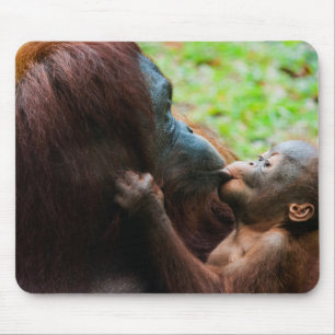 Orangutang mamma och unge musmatta