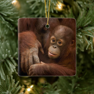 Orangutang mamma och unge på zoo julgransprydnad keramik