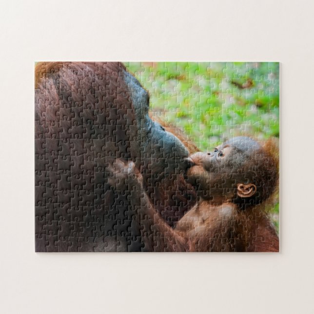 Orangutang mamma och unge pussel (Horisontell)