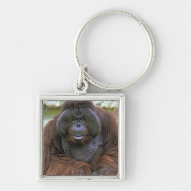 Orangutang Pongo Pygmaeus Fyrkantig Silverfärgad Nyckelring (Framsidan)