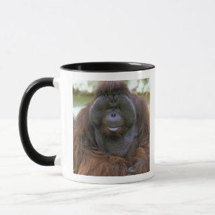 Orangutang Pongo Pygmaeus Mugg