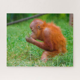 Orangutanger. Pussel