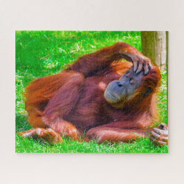 Orangutanger. Pussel