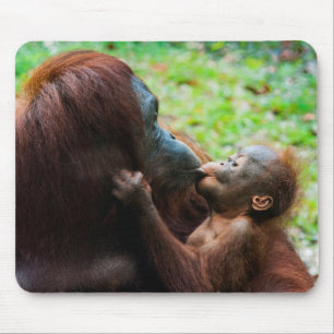 Orangutangmoder med unge musmatta
