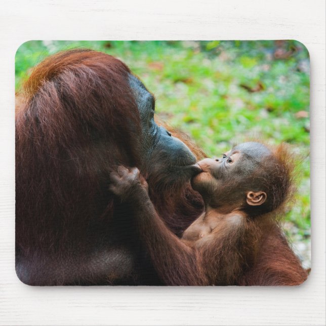 Orangutangmoder med unge musmatta (Framsidan)