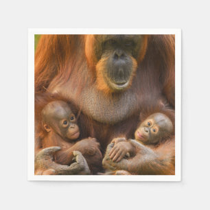 Orangutangmoder som håller två bebisar pappersservett