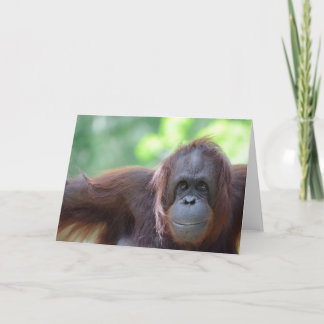 Orangutanhälsningkort Kort
