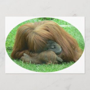 Orangutaninbjudan Inbjudningar