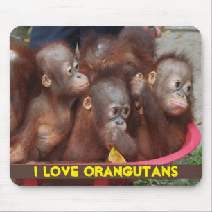 Orangutankärlek Musmatta