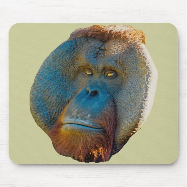 Orangutanmanlig Musmatta (Framsidan)