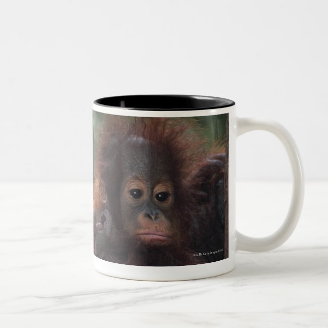 Orangutanmor med babyen Två-Tonad mugg (Höger)