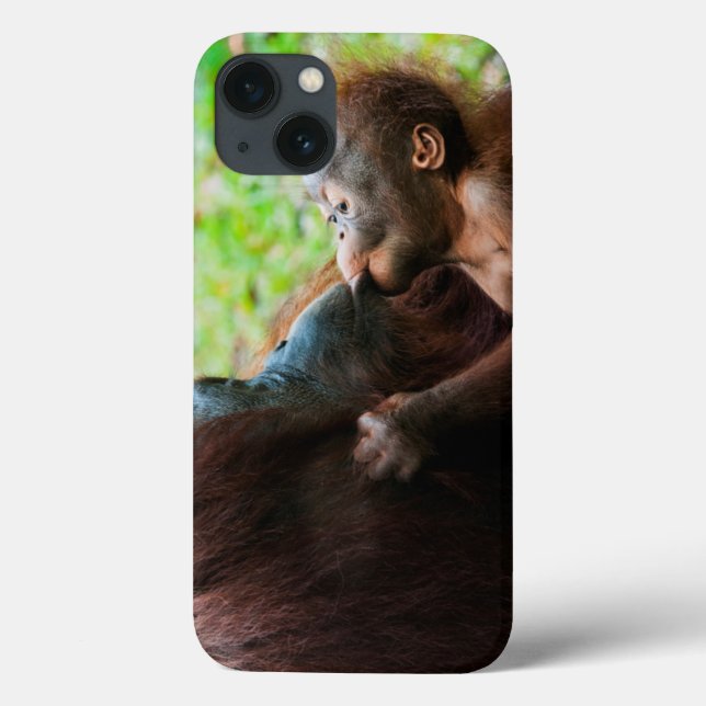Orangutanmor och bebis (Baksida)