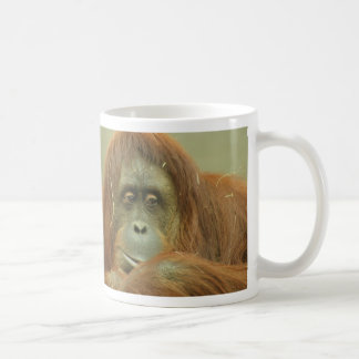 Orangutanmugg Kaffemugg