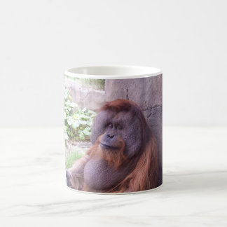Orangutanmugg Kaffemugg