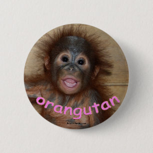 Orangutanrosaläppar Knapp