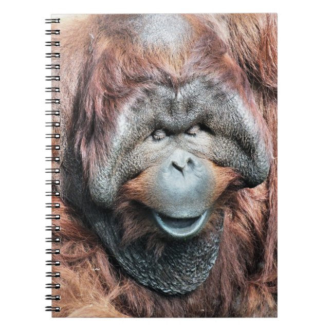 ORANGUTANS ANTECKNINGSBOK (Framsidan)