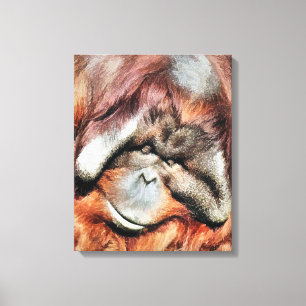 ORANGUTANS CANVASTRYCK