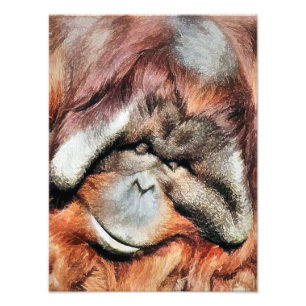 ORANGUTANS FOTOTRYCK