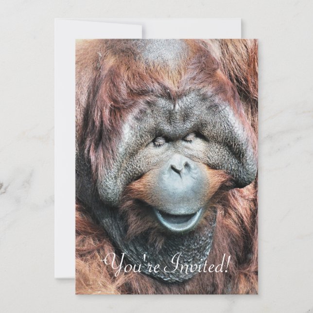 ORANGUTANS INBJUDNINGAR (Framsida)