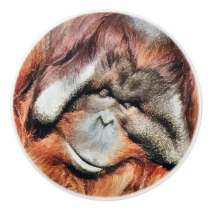 ORANGUTANS KNOPP