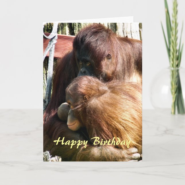 ORANGUTANS KORT (Framsida)