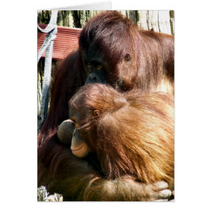 ORANGUTANS-KORT HÄLSNINGSKORT
