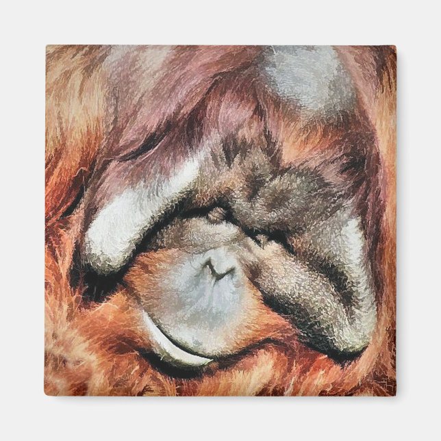 ORANGUTANS MAGNET (Framsidan)