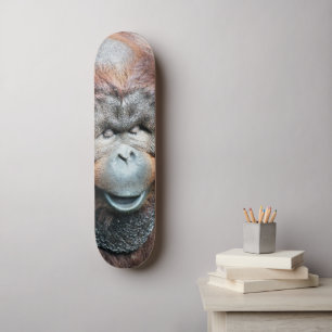 ORANGUTANS OLD SCHOOL SKATEBOARD BRÄDA 18 CM