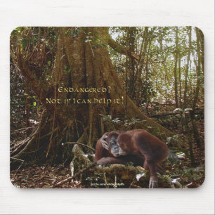 Orangutans & Rainforest Wildlife support Mousepad Musmatta